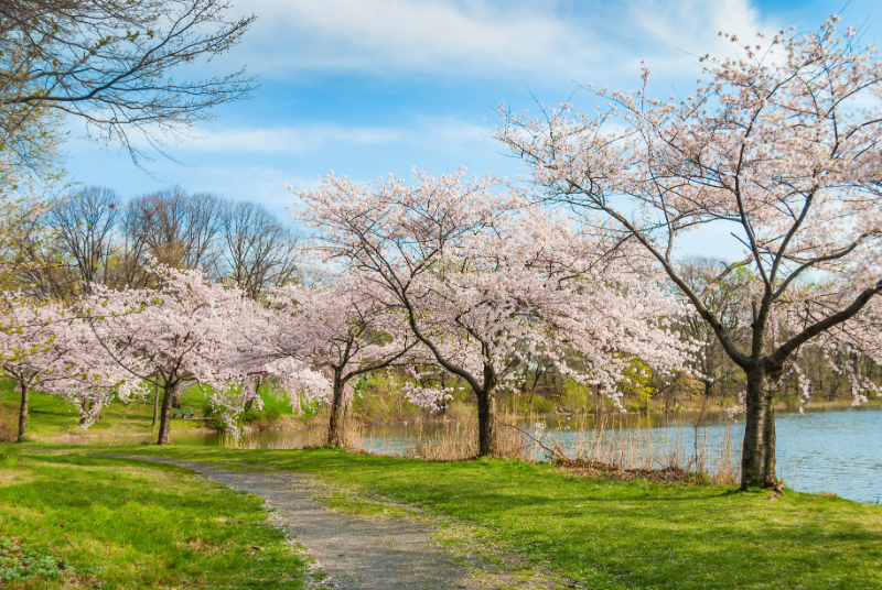 Your guide in moving to Essex County, NJ.