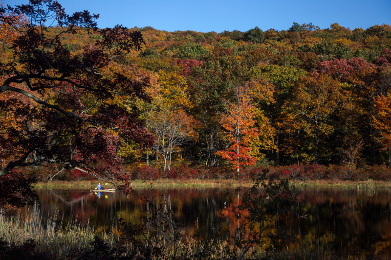 The 411 on Sussex County Real Estate