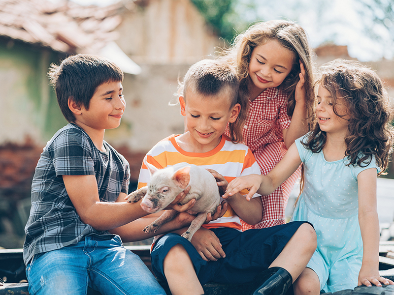 Top family-friendly hangout places in Bergen County