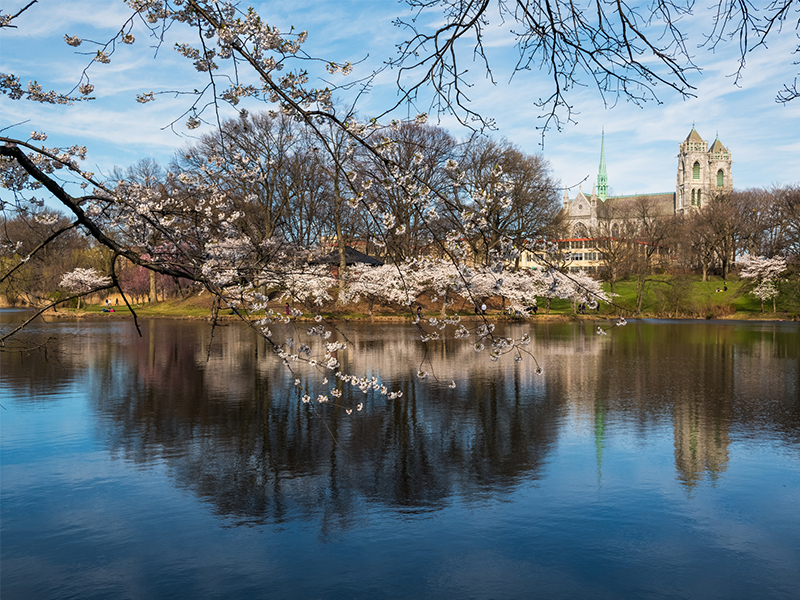 Essex County for nature lovers: Parks and trails