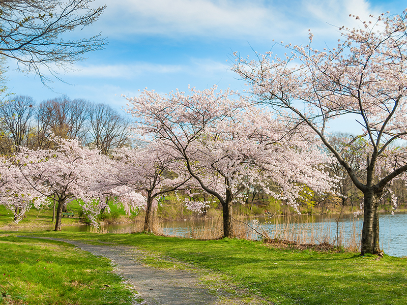 Essex County Real Estate Trends this 2024